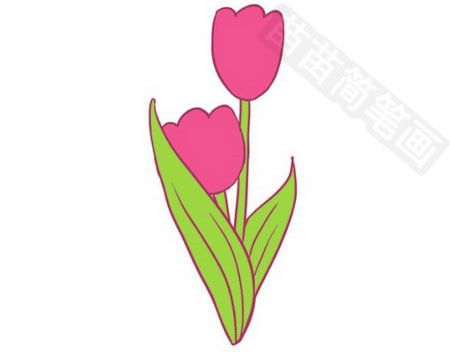  郁金香简笔画，郁金香简笔画教程--第1张