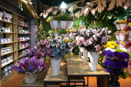  郑州金水区花店网上订花——轻松实现花卉订购，享受美好生活，郑州金水区花店网上订花，轻松实现花卉订购，享受美好生活。--第1张