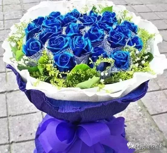  蓝色妖姬花束图片，浪漫与优雅的完美结合--第1张
