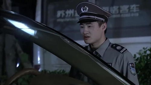  短剧保安老爸竟是满级大佬全集观看--第1张