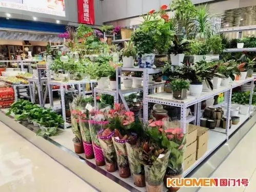  西安大型花卉市场一览，探寻西安大型花卉市场的秘密--第1张