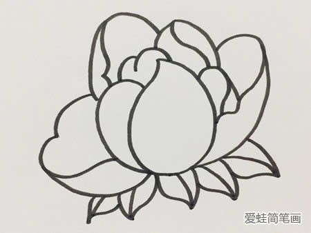  芍药花图片简笔画--第1张