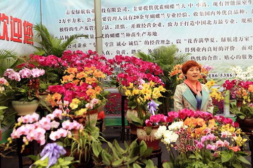  中国花木网报价——一站式花卉苗木交易平台，中国花木网报价，一站式花卉苗木交易平台的价格指南--第1张