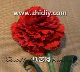  康乃馨手工花制作方法--第1张