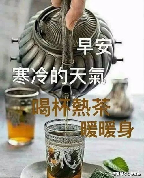  短剧替嫁后纨绔大佬每天都在撩我全集观看--第1张