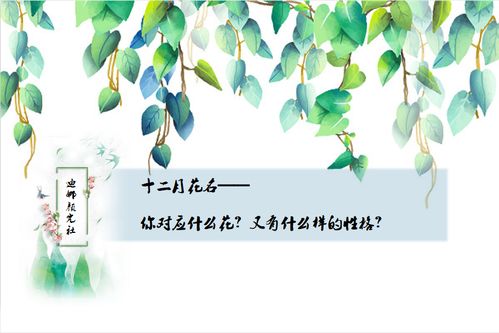  十二月花名顺口溜，十二月花名顺口溜，正月梅花香又香--第1张