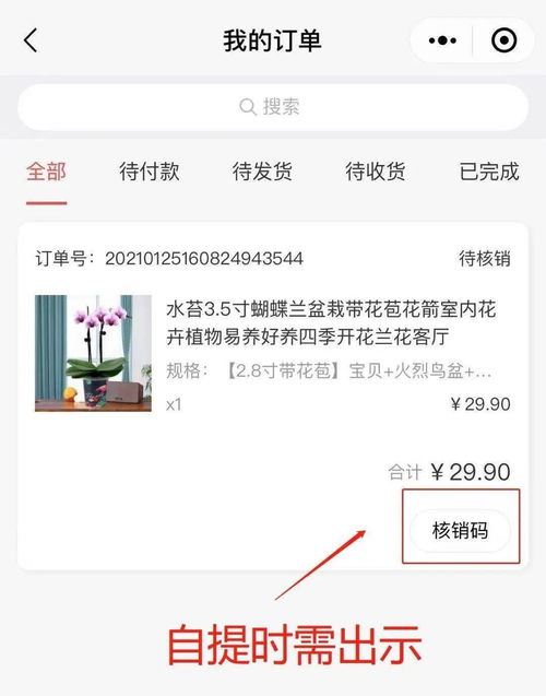  怎么网上买花当天送到，如何网上买花当天送到，鲜花配送服务指南--第1张