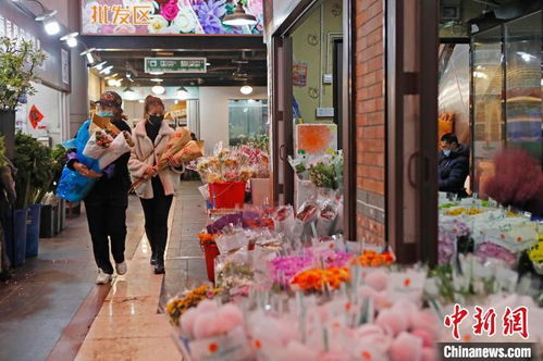  沈阳鲜花批发市场在哪，沈阳鲜花批发市场，沈阳市鲜花批发市场地点及联系方式--第1张