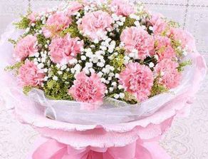  同城鲜花速递，康乃馨的魅力与传递，同城鲜花速递，康乃馨的魅力与传递，一份温馨的礼物，一份爱的传递--第1张