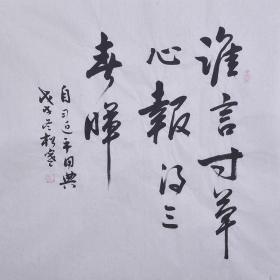  短剧谁言寸草心全集观看--第1张