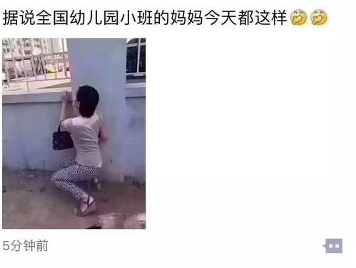  短剧惹上叶少别想逃全集观看--第1张
