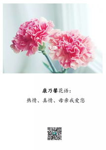  送花的花语--第1张