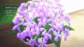  紫罗兰花的花语--第1张