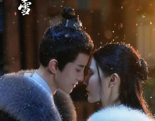  短剧东栏雪全集观看，东栏雪全集，雪中悲歌--第1张
