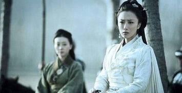  我家老公是将军穿越剧全集观看--第1张