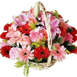  石家庄鲜花预定送上门——让您的生活更加美好，石家庄鲜花预定送上门，让您的生活更加美好，鲜花送到家--第1张