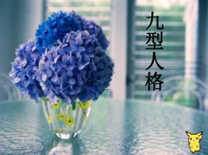  风信子的古代雅称，风信子的雅称，风信子花语、风信子的别名、风信子的美称、风信子的别称、风信子的雅名等。--第1张