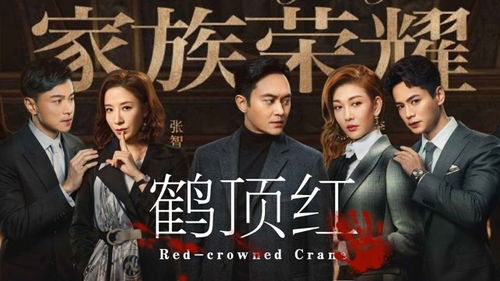 豪门盛宠短剧全集，一场家族风云的视觉盛宴--第1张