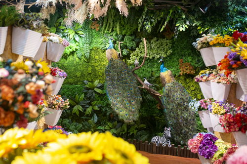  瑞安花店，传递情感，传递美好--第1张