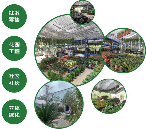  绿化苗木价格与园林网——一站式绿化苗木采购平台--第1张