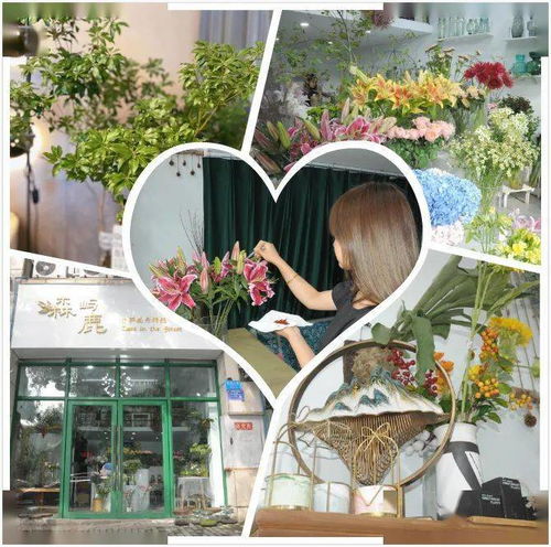  ，西安雁南五路花店，鲜花的魅力与独特体验，西安雁南五路花店，鲜花的魅力与独特体验的完美结合--第1张