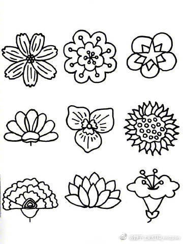  花卉图片手绘简笔画，花卉手绘简笔画图片欣赏--第1张