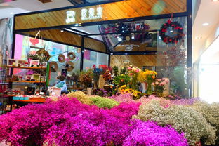  青岛鲜花店订花，浪漫与品质的完美结合--第1张