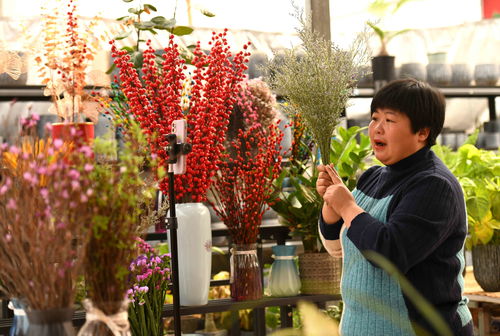  石家庄哪里批发鲜花？，石家庄鲜花批发市场，探寻石家庄的鲜花批发宝藏--第1张