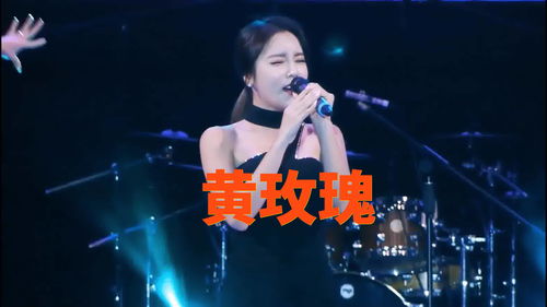  ，黄玫瑰歌曲表达了什么--第1张