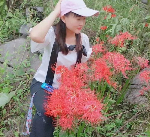  四大冥花的花语--第1张