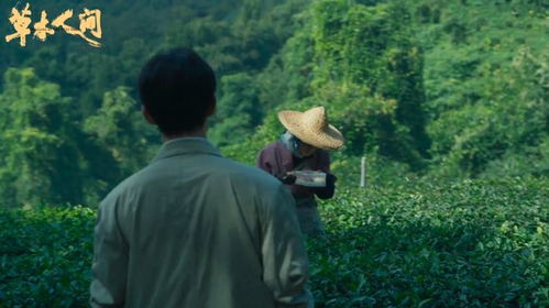  草木人间之人生如戏柯以全集观看--第1张