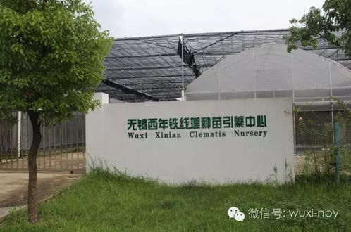  中国种子交易网，引领农业新革命，中国种子交易网，引领农业新革命的种子交易平台--第1张