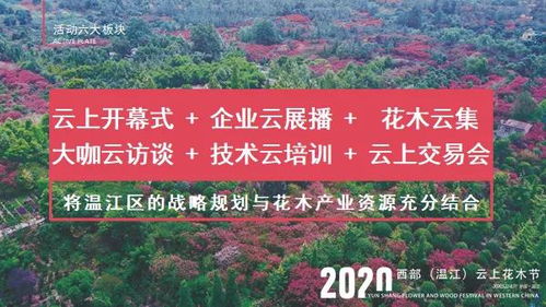  中国花木网苗木，引领行业发展的新动力--第1张