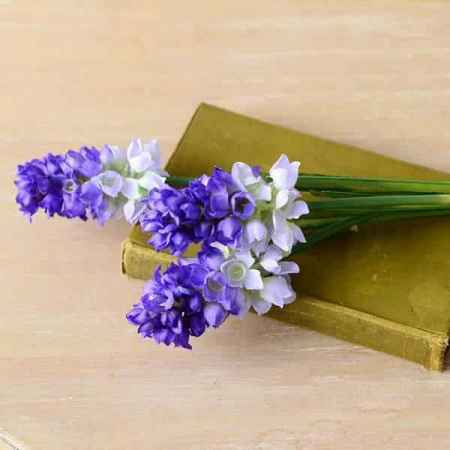  鲜花网站首页——打造您的专属花卉体验--第1张