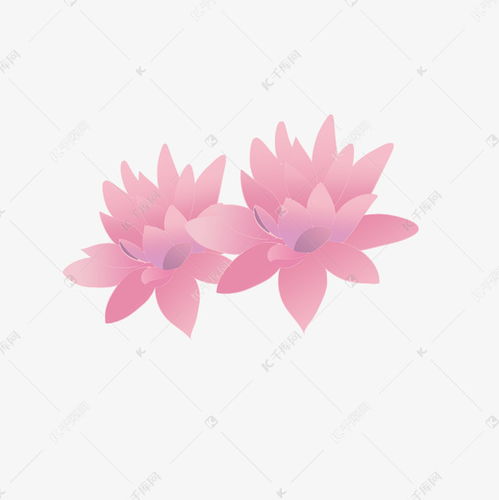  并蒂莲花图片大全画--第1张