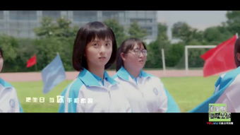  短剧暗杀全集观看--第1张