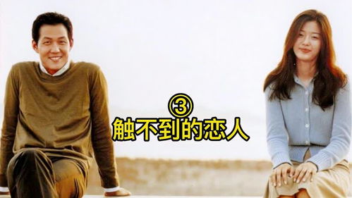  短剧闪婚后，爱上来自海洋的你全集观看——一段跨越时空的浪漫爱情故事--第1张