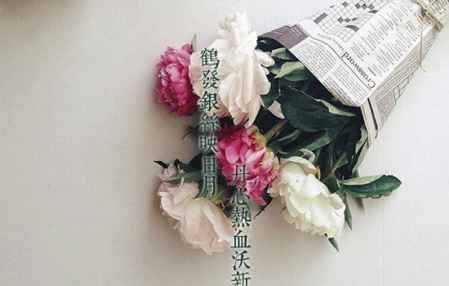  教师节送花的寓意和象征，教师节送花的寓意和象征，表达感激与尊敬--第1张