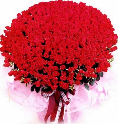  47朵玫瑰花爱情寓意，47朵玫瑰花爱情寓意，爱的海洋、无尽的爱、甜蜜爱情等。--第1张
