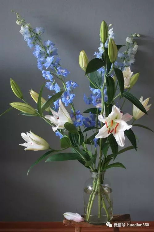  白色百合的花语，纯洁与高雅的象征，白色百合花，纯洁与高雅的花语象征--第1张