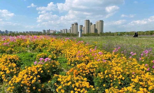  春天各种花的图片，缤纷花海，绽放美丽，春天的花海盛宴，缤纷花海，绽放美丽--第1张