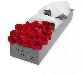  Roseonly玫瑰花，爱情的永恒象征，Roseonly玫瑰花，爱情的永恒象征，一份浪漫的礼物--第1张
