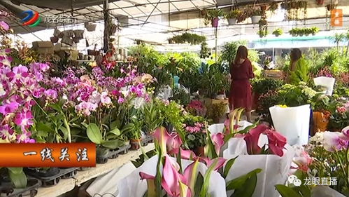  花店最受欢迎的花--第1张
