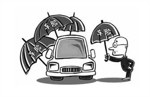 正常车险一年要多少钱_买交强险和三者就够了--第1张