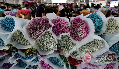  斗南鲜花批发每日花价，探寻花卉市场的价格波动与市场动态--第1张