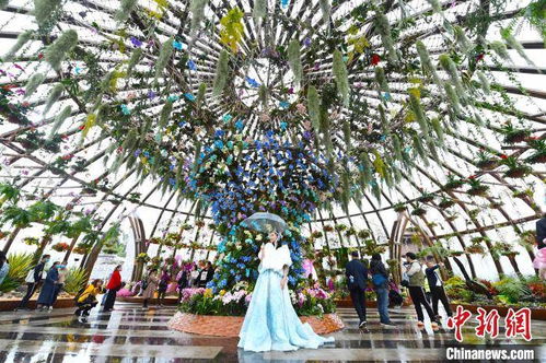  中国花卉博览会六园，花卉艺术的璀璨盛宴--第1张
