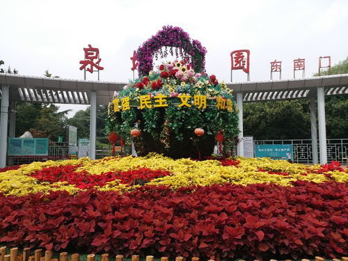  长沙鲜花网店，传递美丽与温馨的在线桥梁--第1张
