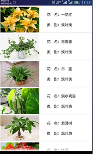  买绿植哪个app最便宜？，绿植购买平台哪家强？价格对比与推荐--第1张