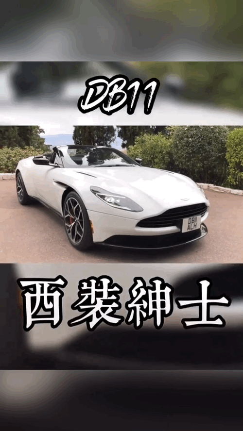汽车试驾视频网_2020汽车试驾视频大全--第1张