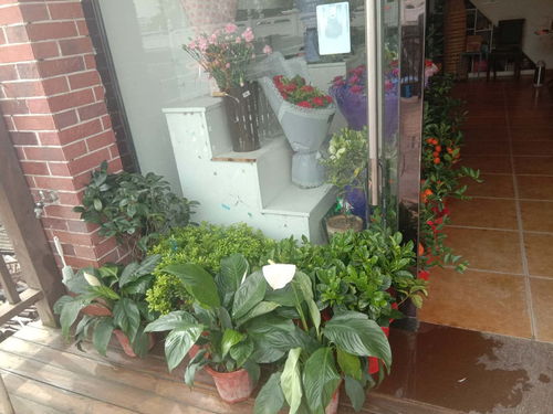  附近最近的花店在哪里？寻找最佳花店指南--第1张